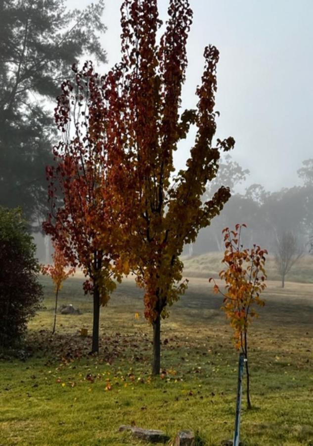 Granite Gardens & Retreat Bed & Breakfast 4*